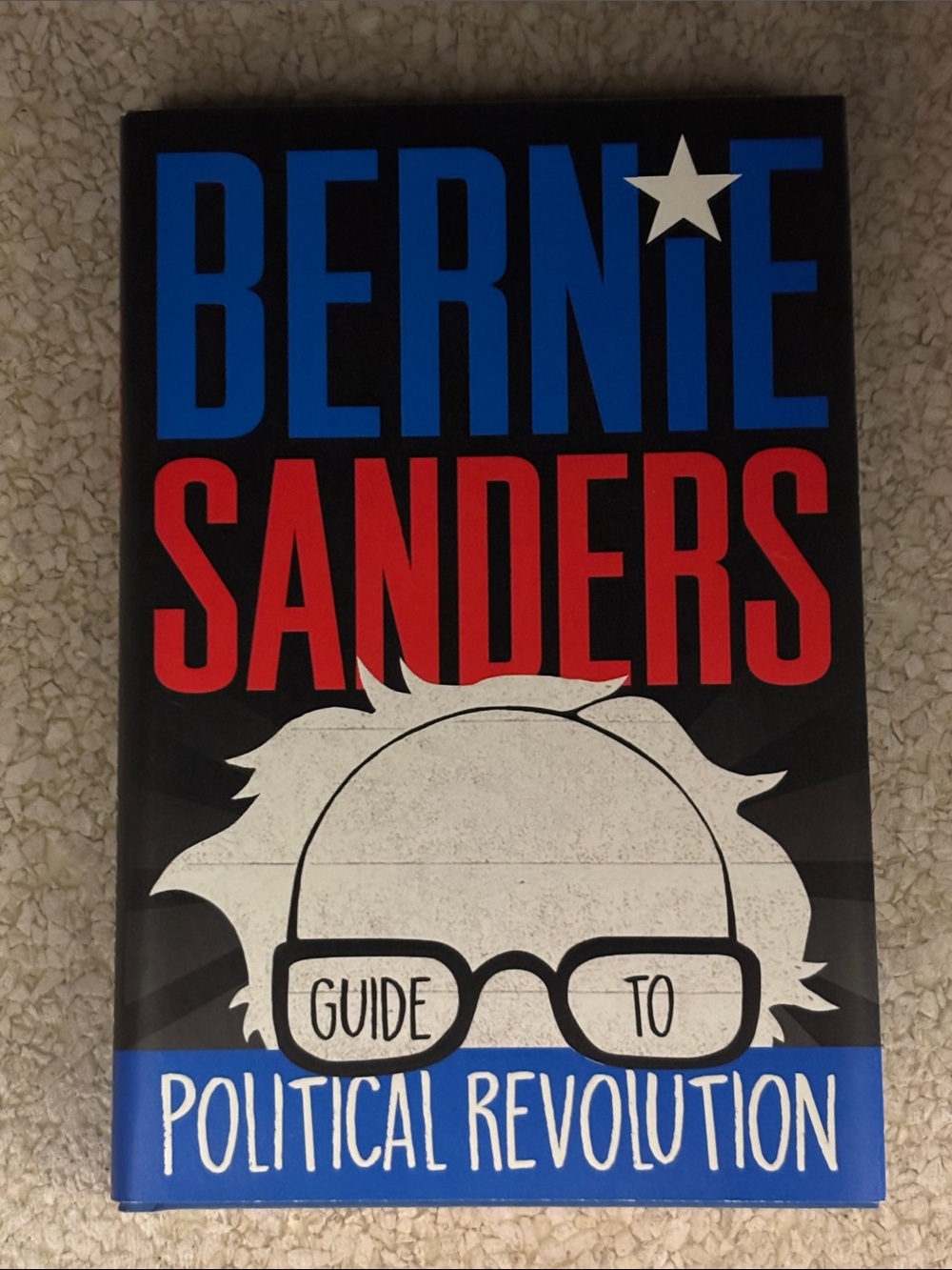 Bernie Sanders - Guide to Political Revolution